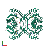 Homo tetrameric assembly 1 of PDB entry 3njr coloured by chemically distinct molecules, front view.