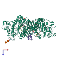 PDB entry 3nkn coloured by chain, top view.