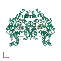 Homo dimeric assembly 1 of PDB entry 3nlw coloured by chemically distinct molecules, front view.