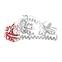 The deposited structure of PDB entry 3nou contains 1 copy of CATH domain 3.30.450.20 (Beta-Lactamase) in Bacteriophytochrome. Showing 1 copy in chain A [auth C].