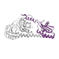 The deposited structure of PDB entry 3nou contains 1 copy of Pfam domain PF00360 (Phytochrome region) in Bacteriophytochrome. Showing 1 copy in chain A [auth C].