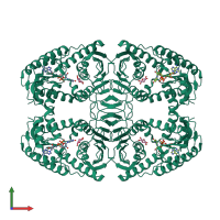 Homo tetrameric assembly 1 of PDB entry 3nt5 coloured by chemically distinct molecules, front view.