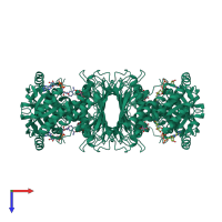 Homo tetrameric assembly 1 of PDB entry 3nt5 coloured by chemically distinct molecules, top view.