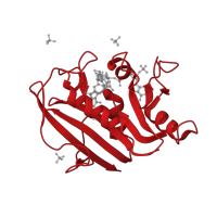 The deposited structure of PDB entry 3nxo contains 1 copy of CATH domain 3.40.430.10 (Dihydrofolate Reductase, subunit A) in Dihydrofolate reductase. Showing 1 copy in chain A.