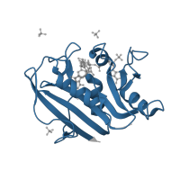 The deposited structure of PDB entry 3nxo contains 1 copy of Pfam domain PF00186 (Dihydrofolate reductase) in Dihydrofolate reductase. Showing 1 copy in chain A.