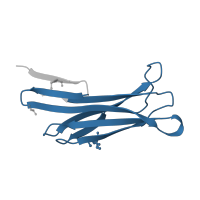 The deposited structure of PDB entry 3o0l contains 2 copies of Pfam domain PF07233 (Protein of unknown function (DUF1425)) in DUF1425 domain-containing protein. Showing 1 copy in chain A.