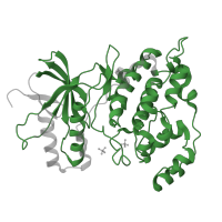 The deposited structure of PDB entry 3o17 contains 2 copies of Pfam domain PF00069 (Protein kinase domain) in Mitogen-activated protein kinase 8. Showing 1 copy in chain A.