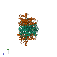 Hetero tetrameric assembly 1 of PDB entry 3oab coloured by chemically distinct molecules, side view.