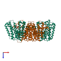 Hetero tetrameric assembly 1 of PDB entry 3oab coloured by chemically distinct molecules, top view.
