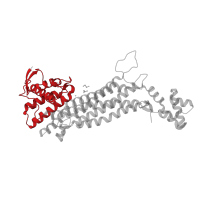 The deposited structure of PDB entry 3ocf contains 4 copies of CATH domain 1.10.275.10 (Fumarase C; Chain B, domain 1) in Fumarate lyase:Delta crystallin. Showing 1 copy in chain A.