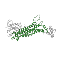 The deposited structure of PDB entry 3ocf contains 4 copies of CATH domain 1.20.200.10 (Fumarase C; Chain A, domain 2) in Fumarate lyase:Delta crystallin. Showing 1 copy in chain A.