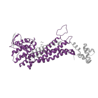 The deposited structure of PDB entry 3ocf contains 4 copies of Pfam domain PF00206 (Lyase) in Fumarate lyase:Delta crystallin. Showing 1 copy in chain A.