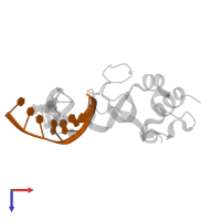 5'-D(*CP*CP*CP*AP*GP*AP*CP*G)-3' in PDB entry 3odc, assembly 1, top view.