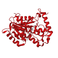 The deposited structure of PDB entry 3oey contains 1 copy of CATH domain 3.40.50.720 (Rossmann fold) in Enoyl-[acyl-carrier-protein] reductase [NADH]. Showing 1 copy in chain A.