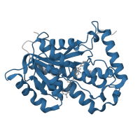 The deposited structure of PDB entry 3oey contains 1 copy of Pfam domain PF13561 (Enoyl-(Acyl carrier protein) reductase) in Enoyl-[acyl-carrier-protein] reductase [NADH]. Showing 1 copy in chain A.