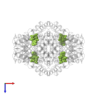NICOTINAMIDE-ADENINE-DINUCLEOTIDE in PDB entry 3oey, assembly 1, top view.