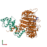 Hetero trimeric assembly 3 of PDB entry 3ogl coloured by chemically distinct molecules, front view.