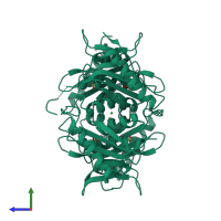 Homo tetrameric assembly 1 of PDB entry 3oj6 coloured by chemically distinct molecules, side view.