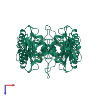 Homo tetrameric assembly 1 of PDB entry 3oj6 coloured by chemically distinct molecules, top view.