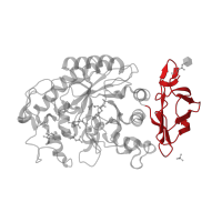 The deposited structure of PDB entry 3ole contains 1 copy of CATH domain 2.60.40.1180 (Immunoglobulin-like) in Pancreatic alpha-amylase. Showing 1 copy in chain A.