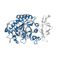 The deposited structure of PDB entry 3ole contains 1 copy of CATH domain 3.20.20.80 (TIM Barrel) in Pancreatic alpha-amylase. Showing 1 copy in chain A.