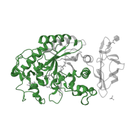 The deposited structure of PDB entry 3ole contains 1 copy of Pfam domain PF00128 (Alpha amylase, catalytic domain) in Pancreatic alpha-amylase. Showing 1 copy in chain A.
