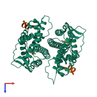 Hetero tetrameric assembly 3 of PDB entry 3ols coloured by chemically distinct molecules, top view.