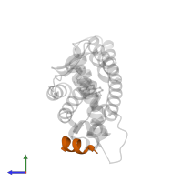 Nuclear receptor coactivator 1 in PDB entry 3ols, assembly 1, side view.