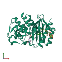 PDB entry 3oph coloured by chain, front view.