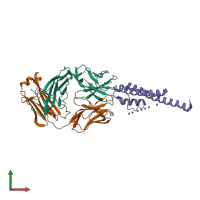 3D model of 3or6 from PDBe