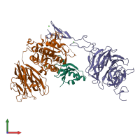 PDB entry 3p5b coloured by chain, front view.