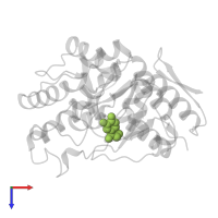 4-[(1S)-1-hydroxy-2-(methylamino)ethyl]benzene-1,2-diol in PDB entry 3pah, assembly 1, top view.