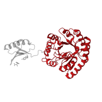 The deposited structure of PDB entry 3pg9 contains 8 copies of CATH domain 3.20.20.70 (TIM Barrel) in Phospho-2-dehydro-3-deoxyheptonate aldolase. Showing 1 copy in chain A.