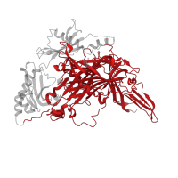 The deposited structure of PDB entry 3pgb contains 1 copy of CATH domain 2.70.98.20 (Beta-galactosidase; Chain A, domain 5) in Amine oxidase. Showing 1 copy in chain A.