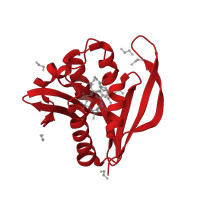 The deposited structure of PDB entry 3pgp contains 1 copy of CATH domain 3.40.630.30 (Aminopeptidase) in N-acetyltransferase domain-containing protein. Showing 1 copy in chain A.