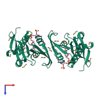 Homo dimeric assembly 2 of PDB entry 3pgp coloured by chemically distinct molecules, top view.