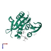 N-acetyltransferase domain-containing protein in PDB entry 3pgp, assembly 1, top view.