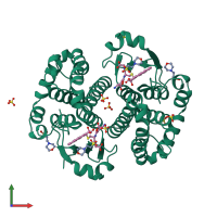 Homo dimeric assembly 1 of PDB entry 3pgt coloured by chemically distinct molecules, front view.