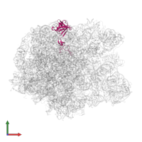 Large ribosomal subunit protein uL3 in PDB entry 3pio, assembly 1, front view.