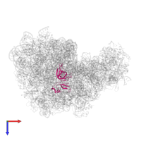 Large ribosomal subunit protein uL3 in PDB entry 3pio, assembly 1, top view.