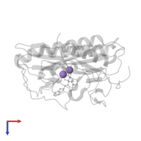 MANGANESE (II) ION in PDB entry 3pkd, assembly 1, top view.