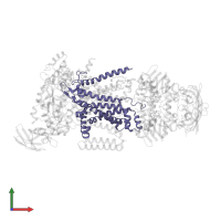 Maltose/maltodextrin transport system permease protein MalG in PDB entry 3puv, assembly 1, front view.