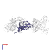 Maltose/maltodextrin transport system permease protein MalG in PDB entry 3puv, assembly 1, top view.