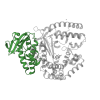 The deposited structure of PDB entry 3py8 contains 1 copy of CATH domain 3.30.420.10 (Nucleotidyltransferase; domain 5) in DNA polymerase I, thermostable. Showing 1 copy in chain A.