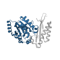 The deposited structure of PDB entry 3q12 contains 4 copies of CATH domain 3.40.50.620 (Rossmann fold) in Pantothenate synthetase. Showing 1 copy in chain A.