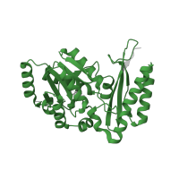 The deposited structure of PDB entry 3q12 contains 4 copies of Pfam domain PF02569 (Pantoate-beta-alanine ligase) in Pantothenate synthetase. Showing 1 copy in chain A.