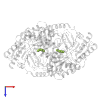 4-oxobutanoic acid in PDB entry 3q8n, assembly 1, top view.
