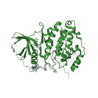 The deposited structure of PDB entry 3q9w contains 1 copy of Pfam domain PF00069 (Protein kinase domain) in Casein kinase II subunit alpha. Showing 1 copy in chain A.