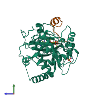 Hetero dimeric assembly 1 of PDB entry 3qal coloured by chemically distinct molecules, side view.