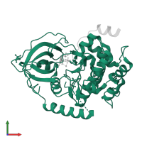 cAMP-dependent protein kinase catalytic subunit alpha in PDB entry 3qal, assembly 1, front view.